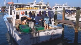 Exiliados cubanos participarán en “Luces de Libertad”
