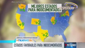 La ley 