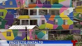 Mueren más manatíes 