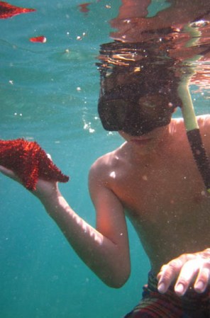 Nadar, hacer snorkel y buceo en aguas cristalinas son las principales actividades turísticas de Culebra.