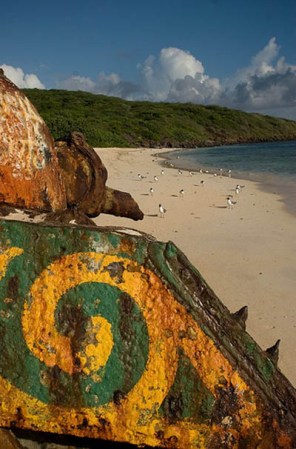 Nunca se sabe qué sorpresas puede depararnos un paseo por las playas de Culebra.