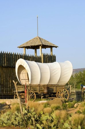 En 1849 se dio en el estado de California la Fiebre del Oro. Miles de personas dejaron sus lugares de origen para buscar fortuna. A ellos se les llamó 49ers. De ahí el nombre y el dorado en el uniforme de San Francisco.