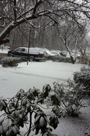 Una poderosa tormenta de nieve azota al área tri estatal de Nueva York.