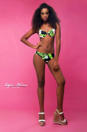 La dominicana, Yaritza Miguelina Reyes Ramírez, nacida en la República Dominicana el 17 de diciembre, de 1993, representará a su país en el certamen de belleza más importante del mundo, Miss Universo, en Moscú 2013.