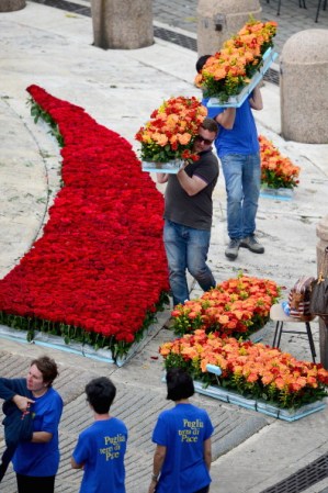 VATICAN CITY, VATICAN - APRIL 26: Flowers are prepared outside the Basilica in Saint Peter's Square on April 26, 2014 in Vatican City, Vatican. Dignitaries, heads of state and royalty from across the world gather at the Vatican for tomorrow's canonisations. The late Pope John Paul II and Pope John XXIII will be canonised on April 27th inside the Vatican with 800,000 pilgrims from around the world that are expected to attend. (Photo by Jeff J Mitchell/Getty Images)