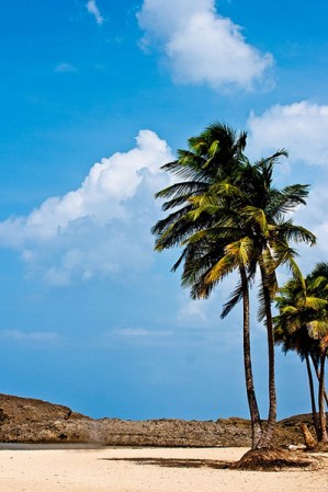 Vega Baja: reconocida como una de las playas más populares del área norte. Los fines de semana familias y jóvenes la visitan con frecuencia para disfrutar del mar y el sol.