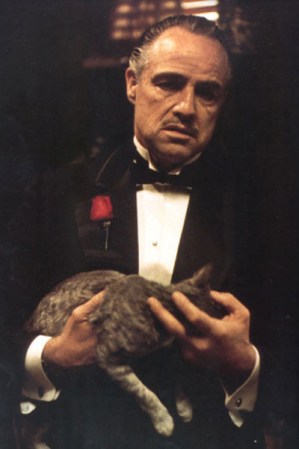 Como no podía ser de otra manera, esta selección de personas debe comenzar con el legendario e inolvidable Marlon Brando interpretando a uno de los personajes más perfectos de la historia del cine: "The Godfather".