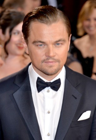 Actor Leonardo DiCaprio