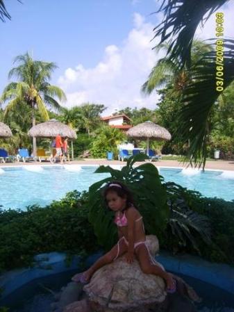 mi sobrina hotel tortuga