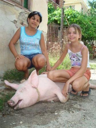 yissel y el puerco
