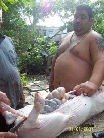 CUba Camaguey Lennin -Puerco =) junio 2010