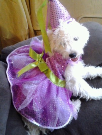 LA FAMOSA LUNA
