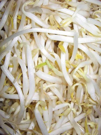 Los brotes de soja que no estén bien limpios primeramente.