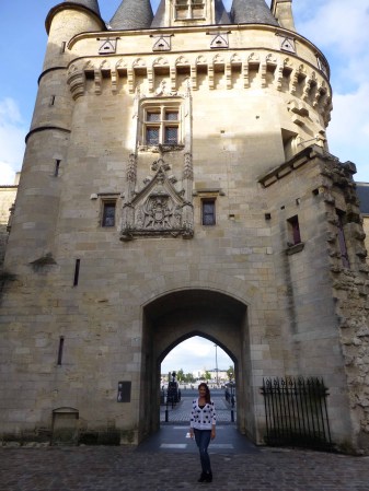 Bordeaux: Sus viñeras y paisajes son memorables. La arquitectura Antigua rodeada de tiendas y restaurantes modernos la hacen muy especial.