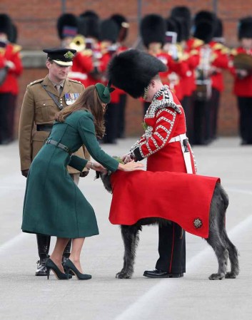 Kate se ganó el cariño de los presentes cuando jugó con un perro.
