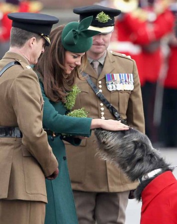 La belleza de Kate Middleton eclipsó la celebración de St. Patricks.