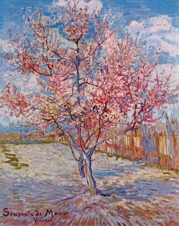 "Melocotonero en flor" 1888
