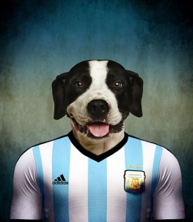 Dogo Argentino, Argentina