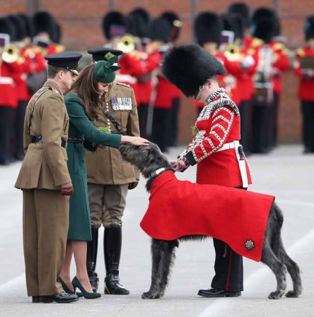 La belleza de Kate Middleton eclipsó la celebración de St. Patricks