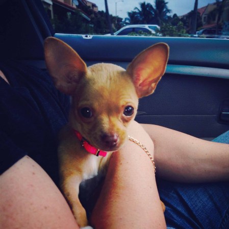 Con papi de paseo