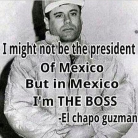 En las redes sociales, como ya es de costumbre, no se hizo esperar la reacción en “memes”, de la captura del narcotraficante más buscado del mundo Joaquín “el chapo” Guzmán.