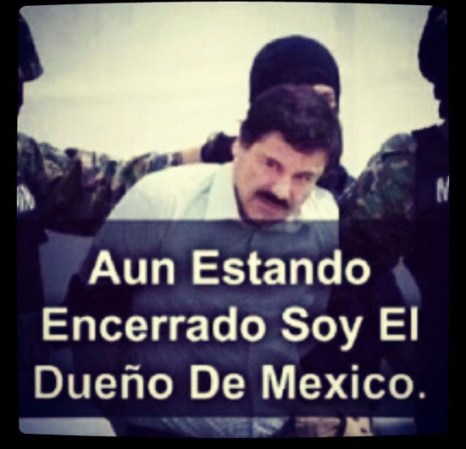 En las redes sociales, como ya es de costumbre, no se hizo esperar la reacción en “memes”, de la captura del narcotraficante más buscado del mundo Joaquín “el chapo” Guzmán.