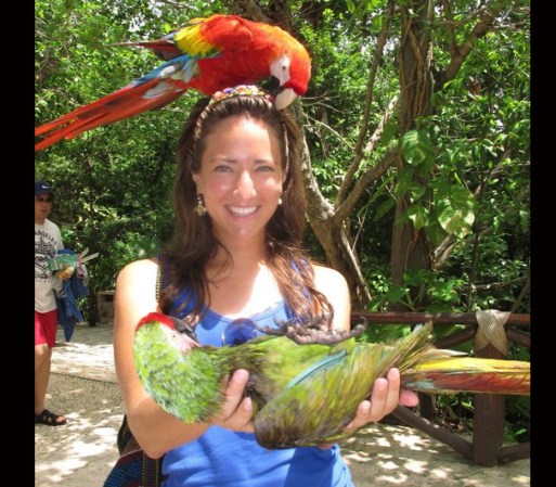 Y que tal las bellas guacamayas llenas de vida y color al igual que el país en el que habitan.