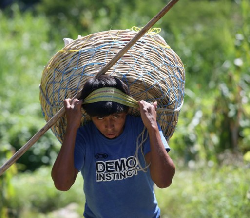 Miles de trabajadores Guatemaltecos y de otros países centro americanos cruzan la frontera a diario para vender sus productos.