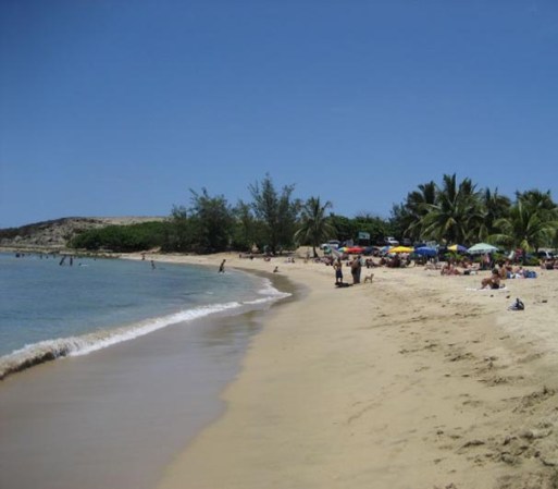 La Playa de Jobos es una playa ubicada en el municipio de Isabela al noroeste de Puerto Rico. Es considerada una de las mejores playas para practicar deportes como el surf.