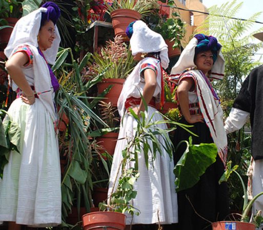 Los carros alegóricos también son un elemento importante en los desfiles del 5 de mayo, muchas mujeres se disfrazan o se visten de trajes representativos de cada Estado.