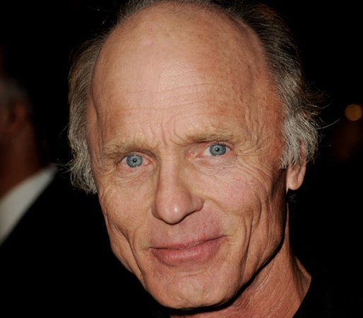 Ed Harris, actor, escritor y director estadounidense. Su primer rol importante lo tuvo con "Boderline" junto a Charles Bronson en 1981. En 1983 se hizo famoso al protagonizar al astronauta John Glenn en el filme "The Right Stuff". Doce años después fue nominado a los Oscar, como mejor actor secundario, Apolo 13, donde tuvo un rol similar. Participó en más de 60 películas.
