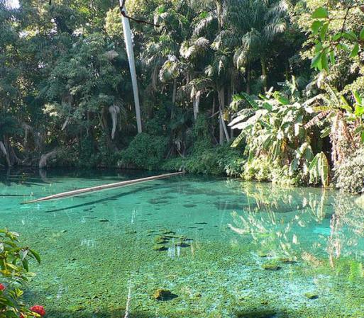 LAS ESTACAS: Ubicado en Morelos, es un lugar ideal para todos aquellos amantes del buceo: un río de aguas cristalinas forma parte de sus instalaciones. Además de albercas, <br />chapoteaderos y áreas verdes.