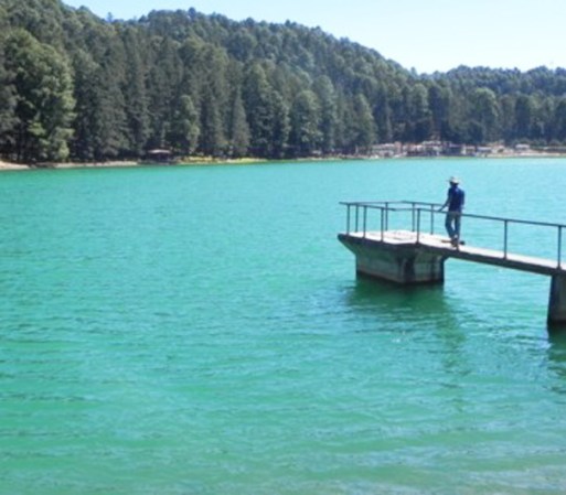 LOS AZUFRES: Un increíble paisaje boscoso ubicado en Michoacán, sus albercas y pozos (tanto naturales como artificiales) son alimentados por aguas sulfurosas a elevadas temperaturas.