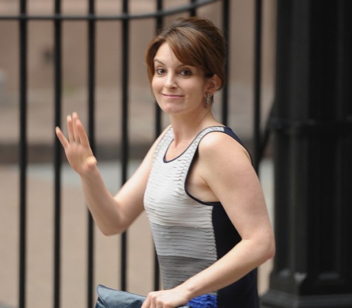 Tina Fey no tuvo sexo hasta los 25 años. En una ocasión le dijo a David Letterman que ella "no lograba hacerlo, por más de que quisiera”. Invitaba a compañeros de universidad a su habitación pero se la pasaban jugando y riéndose sin que sucediera nada...