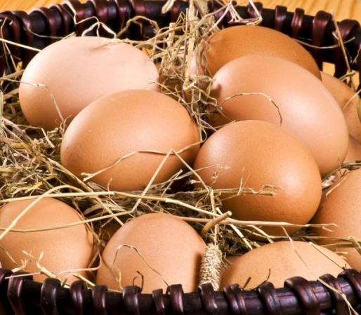 Ricos en Omega 3 los huevos tienen muchas propiedades saludables. Entre ellas el facilitar las funciones del aprendizaje.