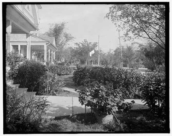 El esplendor y la belleza de una ciudad del sur de la Florida en sus primeros tiempos.
