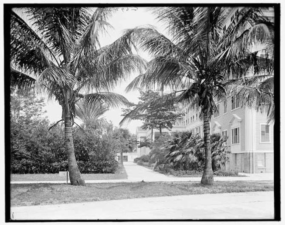 El esplendor y la belleza de una ciudad del sur de la Florida en sus primeros tiempos.