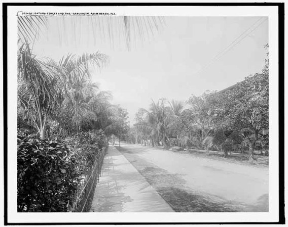 El esplendor y la belleza de una ciudad del sur de la Florida en sus primeros tiempos.