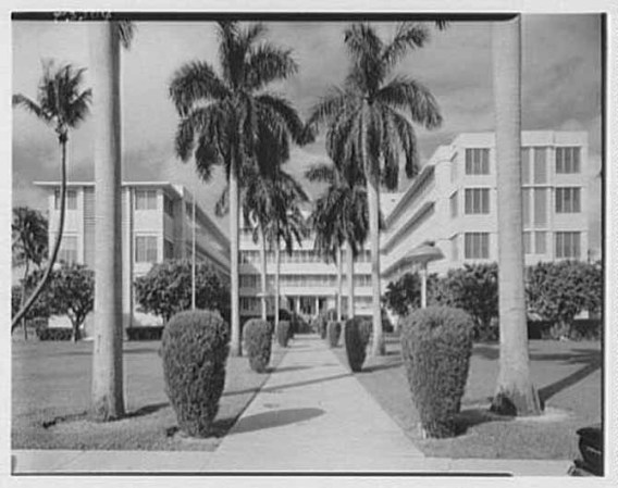 El esplendor y la belleza de una ciudad del sur de la Florida en sus primeros tiempos.