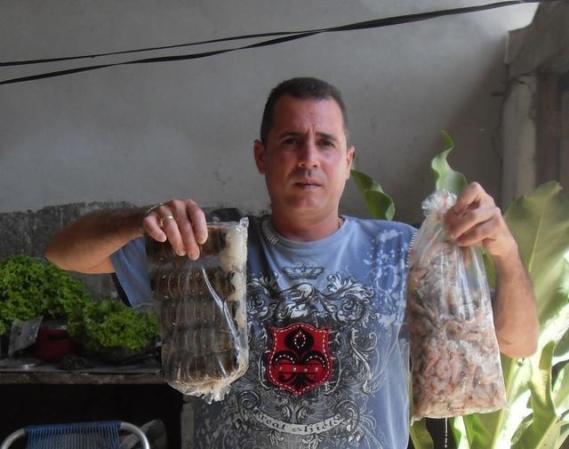 si quieres langosta vete al malecon de Caibarien