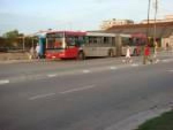 omnibus en decadencia
