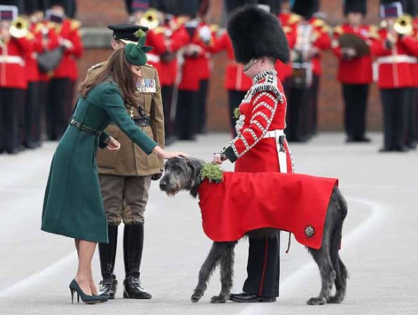 La belleza de Kate Middleton eclipsó la celebración de St. Patricks.