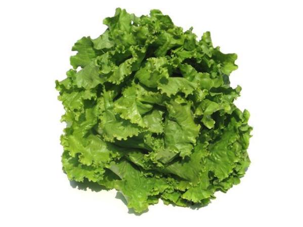 Coma ensaladas, la lechuga contiene hierro y magnesio, que ayudan a quemar el exceso de grasa. Además contiene mucha agua.