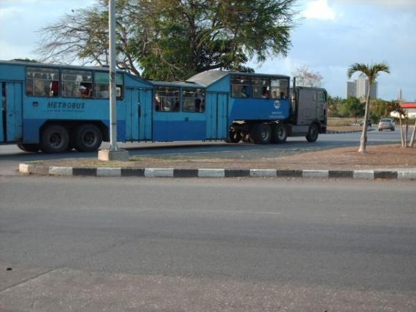el famoso bus el camello