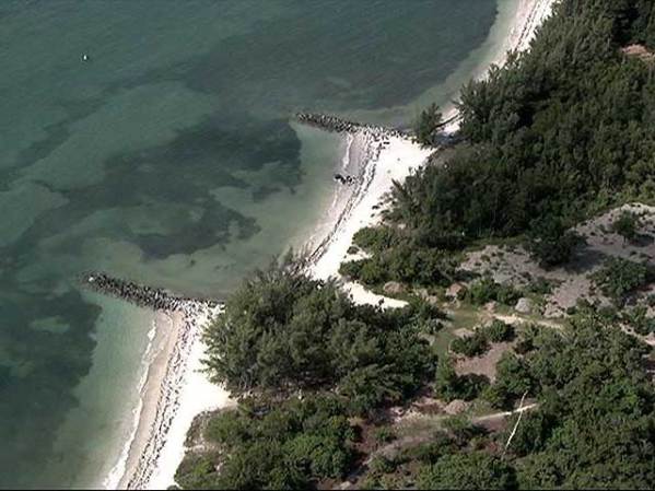 4 DE JUNIO, 2008: Ocho refugiados cubanos llegaron en una pequeña embarcación a una zona pantanosa de Virginia Key.