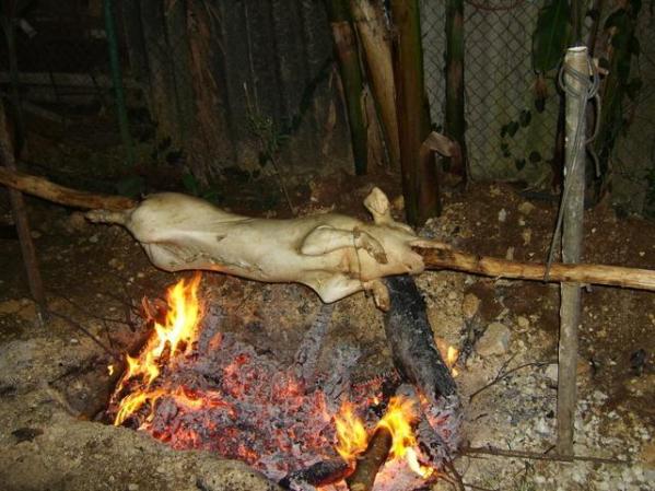 que rico.