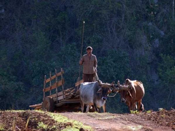 Las tierras serán entregadas en usufructo, lo cual no es lo mismo que en propiedad.