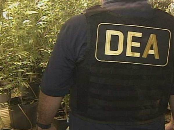 La policía no dijo cómo descubrió la plantación clandestina.