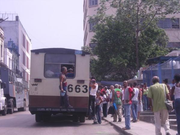 El camello en la Habana.
