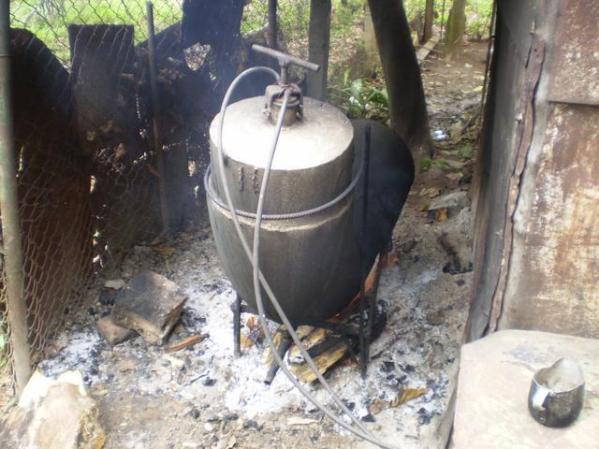 Colando HUESO DE TIGRE en Casa de Tolo